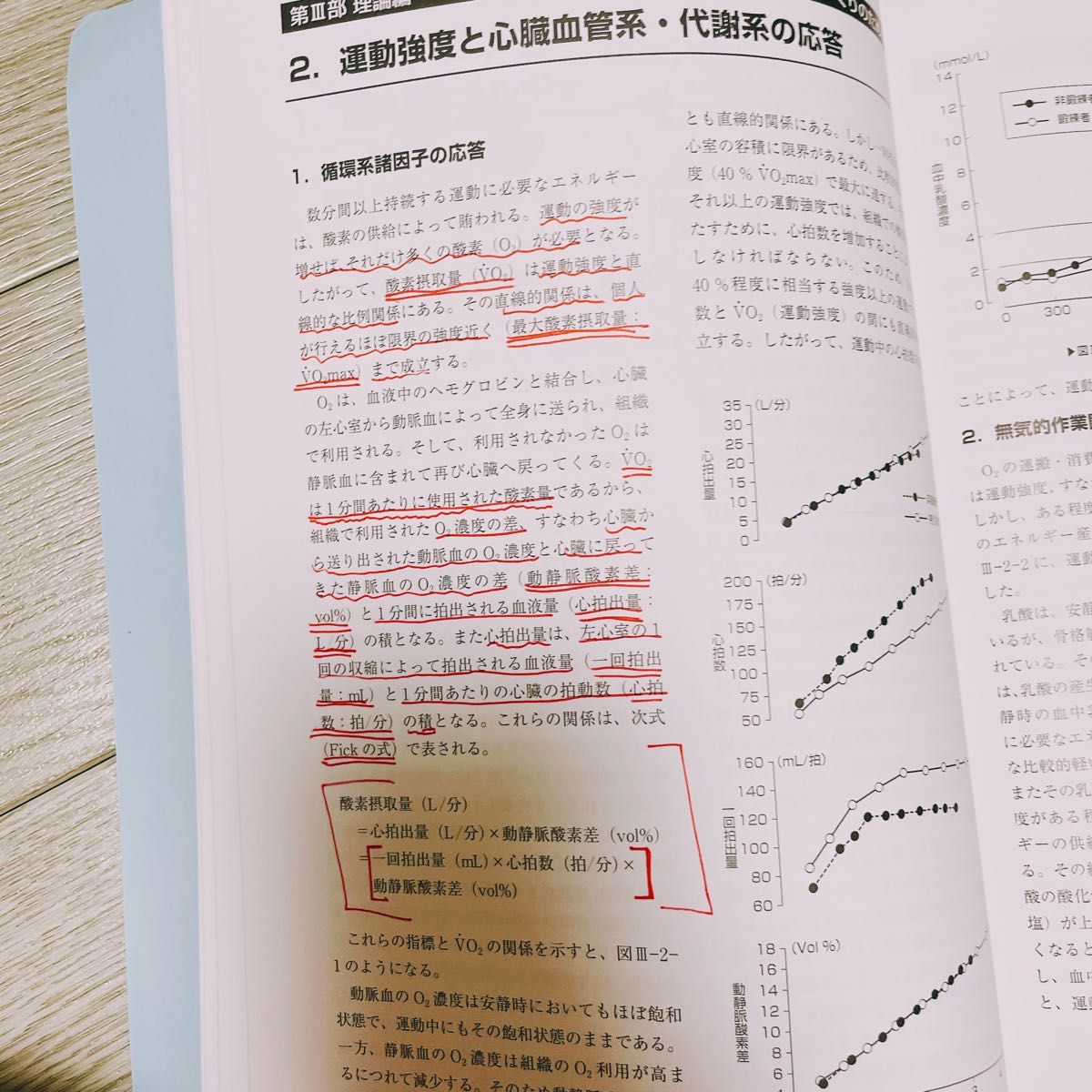 実習で学ぶ健康・運動・スポーツの科学 （実習で学ぶ） （改訂版） 九州大学健康・スポーツ科学研究会／編