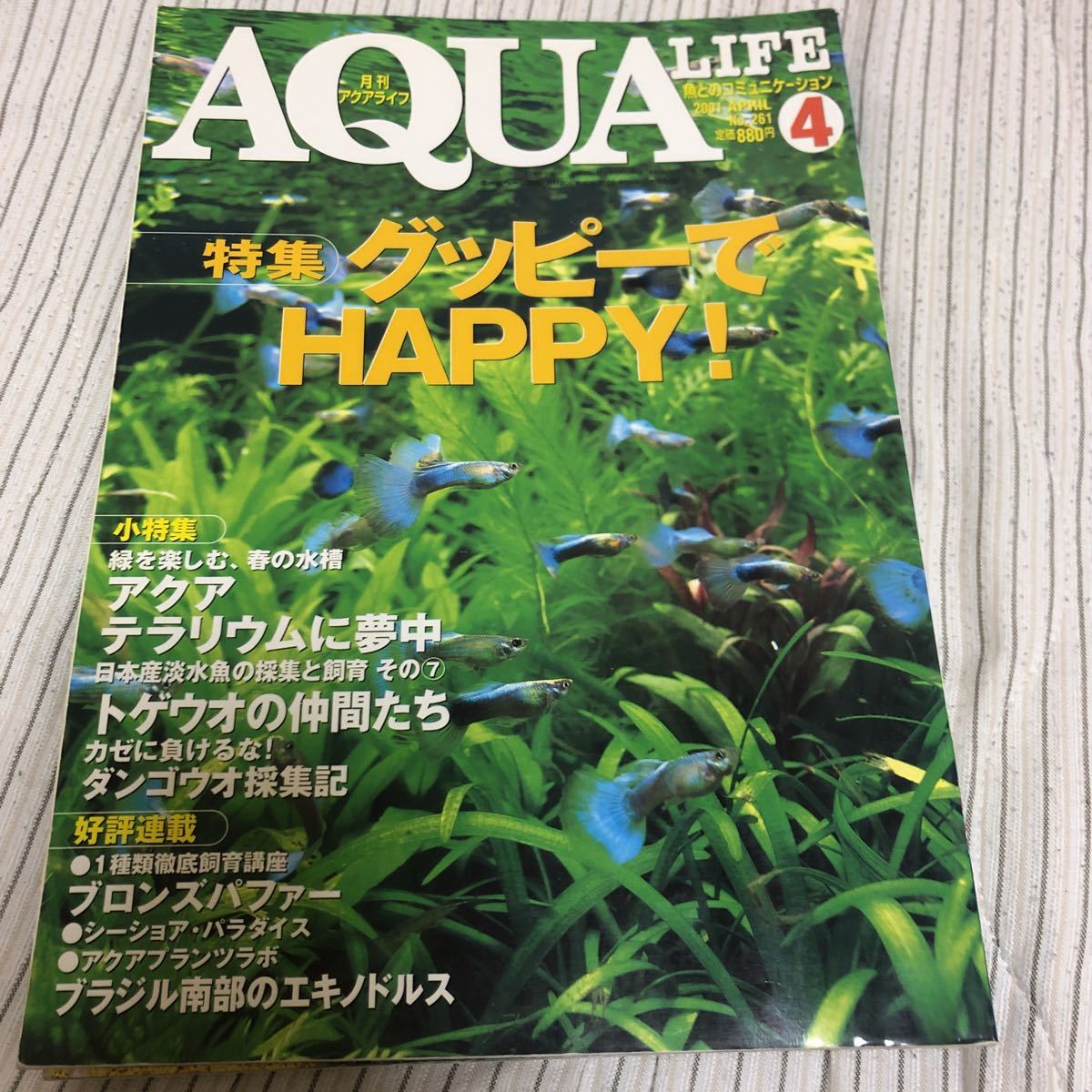 月刊 AQUA LIFE (アクアライフ) 2001年 4月号 No.261 特集　グッピーでハッピー！ など_画像1