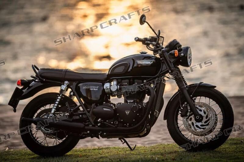 送料無料 Triumph トライアンフ ストリートスクランブラー ボンネビル リア 助手席 パッセンジャー グラブレール スチール_画像4