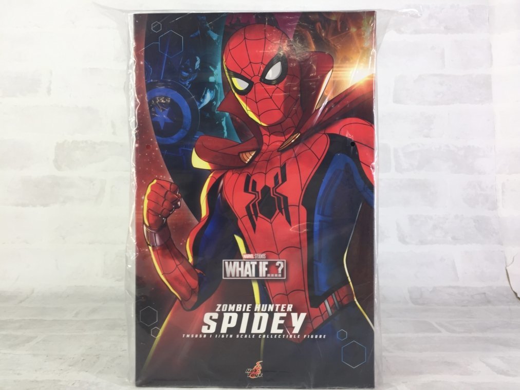 H52 HOT TOYS テレビ マスターピース TMS058 ホワット イフ… ゾンビ
