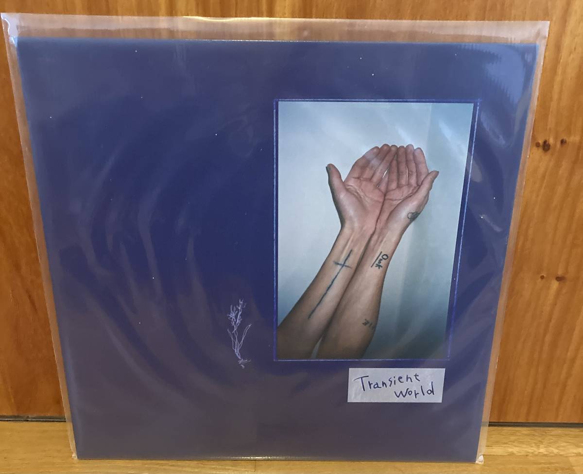 下津光史 transient world アナログ レコード 新品 踊ってばかりの国