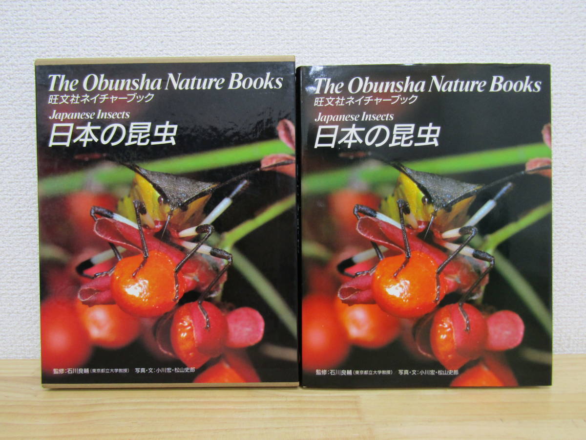 S804）　日本の昆虫　石川良輔　旺文社ネイチャーブック　1985年_画像1