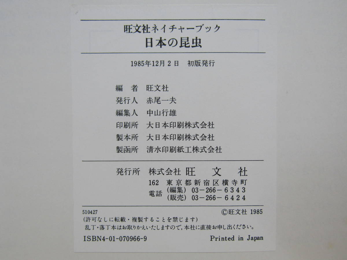 S804）　日本の昆虫　石川良輔　旺文社ネイチャーブック　1985年_画像4