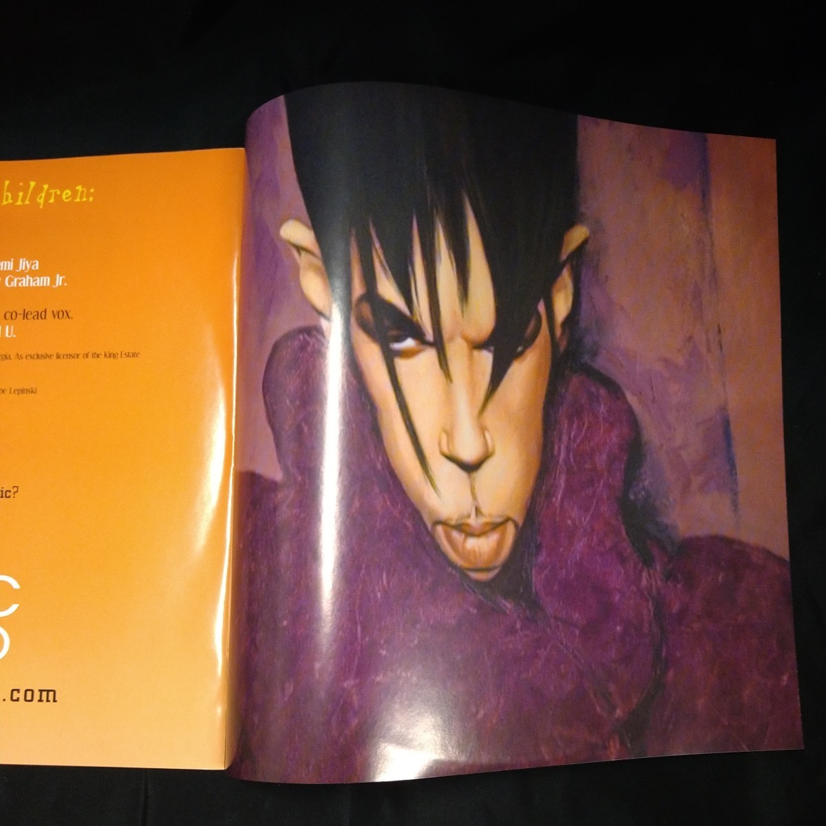 LP / Prince / The Rainbow Children / USオリジナル盤 / LP0004_画像10