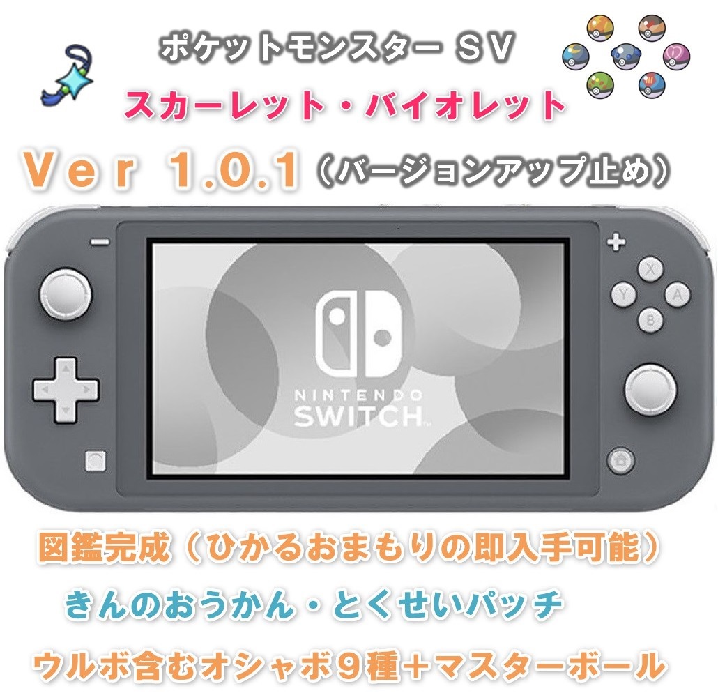 スイッチライト本体 SV Ver1.0.1 セーブデータ付き グレー ひかる