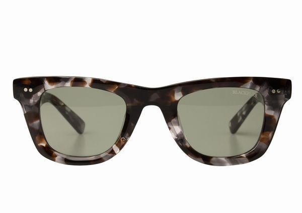  Black Fly (BLACKFLYS) sunglasses [FLY NOVA] BF-13503-01