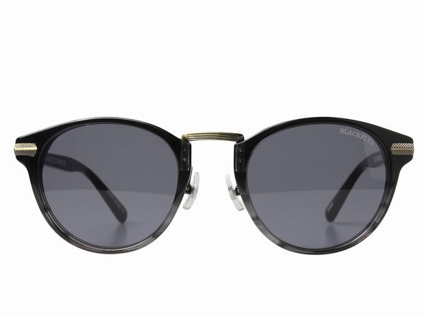  Black Fly (BLACKFLYS) sunglasses [FLY VINCENT] BF-13841-17