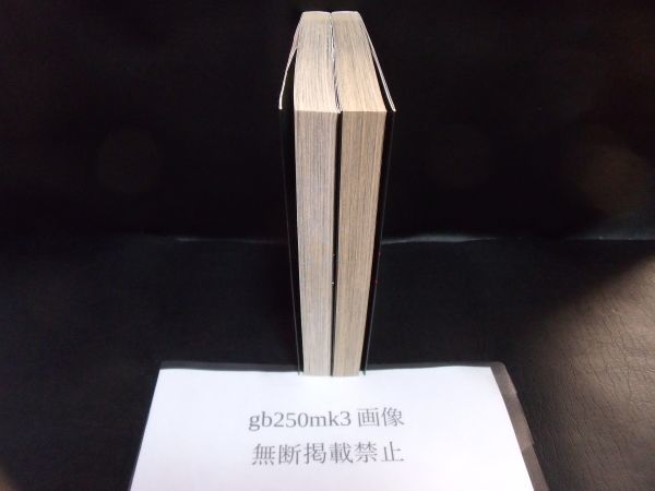 桜通りの女神　 2・3 巻　2冊セット。以下続刊　ながしま 超助　双葉社　 2巻は初版です。3巻は2刷りです。_画像2