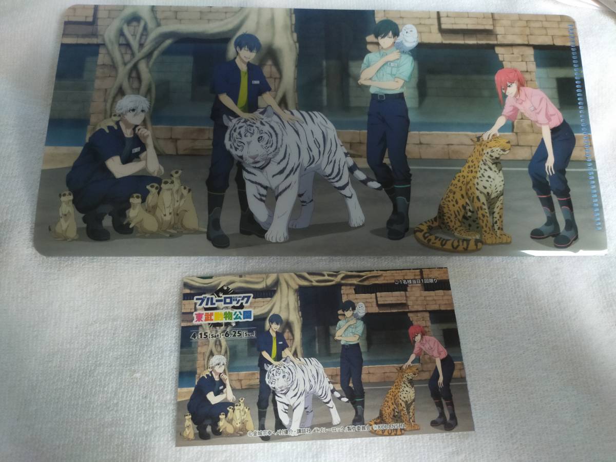 ブルーロック 東武動物公園 事前予約入場特典 チケットホルダー