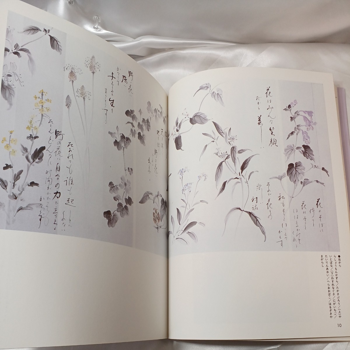 zaa-mb16♪野の花を描く (水墨画一枝一茎) 大月 紅石( 著 )　日貿出版社 (1989/12/1)_画像5