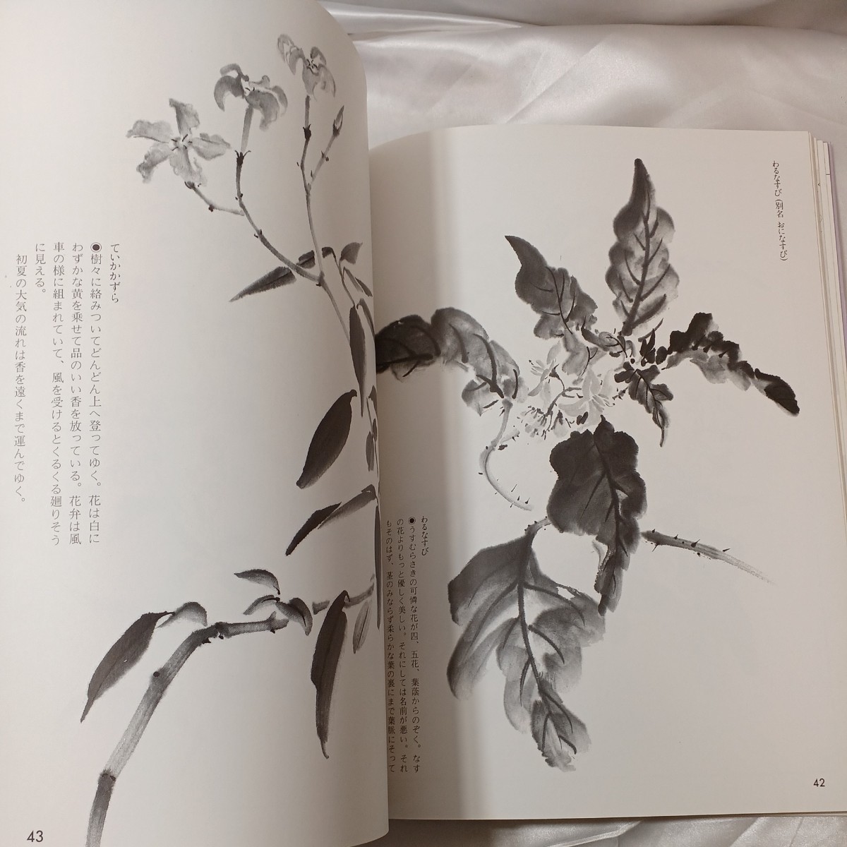 zaa-mb16♪野の花を描く (水墨画一枝一茎) 大月 紅石( 著 )　日貿出版社 (1989/12/1)_画像7