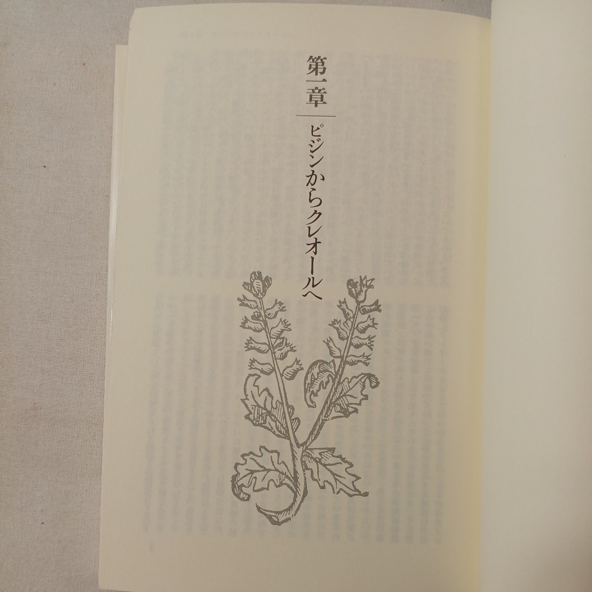 zaa-442♪言語のルーツ 　 デレック・ビッカートン (著), 筧 寿雄 (翻訳)【著】 大修館書店 (1985/4/1)