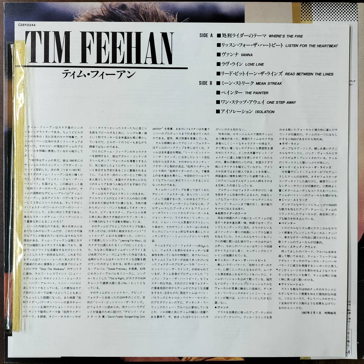 15683 ★美盤 ティム・フィーアン/TIM FEEHAN ※帯付_画像3