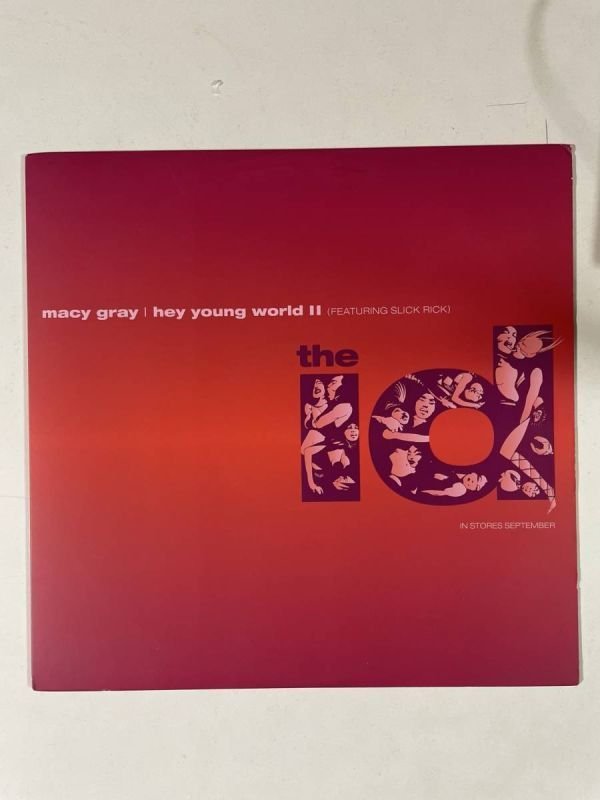 Macy Gray Featuring Slick Rick/Hey Young World II_画像1