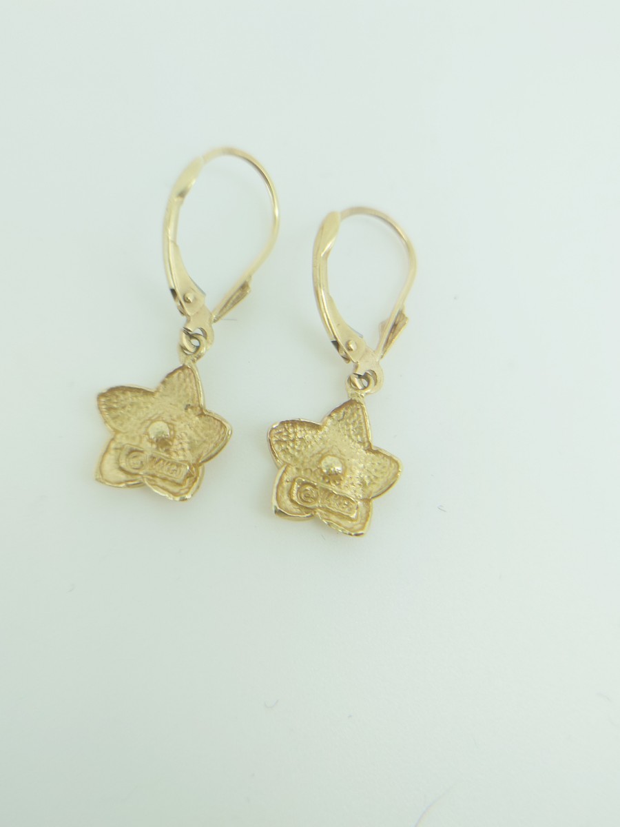  Hawaiian jewelry k14 hook earrings 