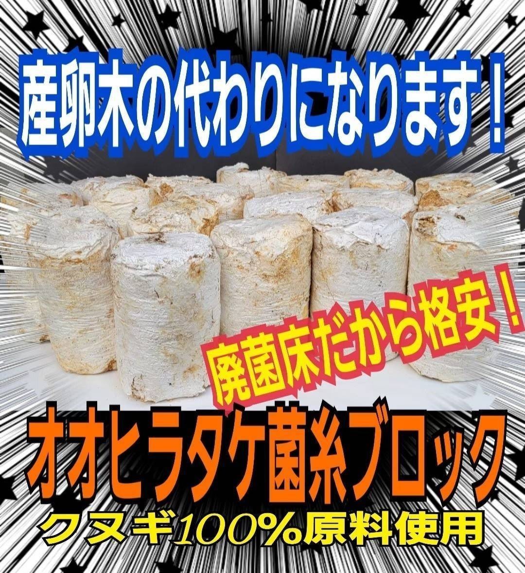 買い保障できる 【8本セット】クワガタの産卵材の代わりに!オオヒラタケ菌床ブロック 簡単にほぐせるので幼虫の割り出しが楽です!マットに埋め込むだけ マット、床材 買い保障できる 【8本セット】クワガタの産卵材の代わりに!オオヒラタケ菌床ブロック 簡単にほぐせるので幼虫の割り出しが楽です!マットに埋め込むだけ マット、床材