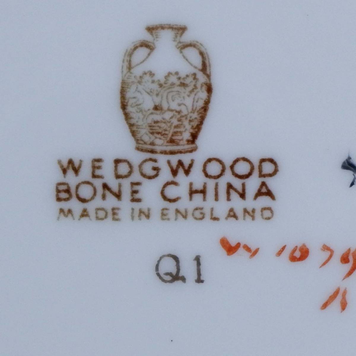 ウェッジウッド フロレンティーン コバルトブルー サラダプレート 20.5cm Wedgwood FLORENTINE 黒壺 花柄_画像7