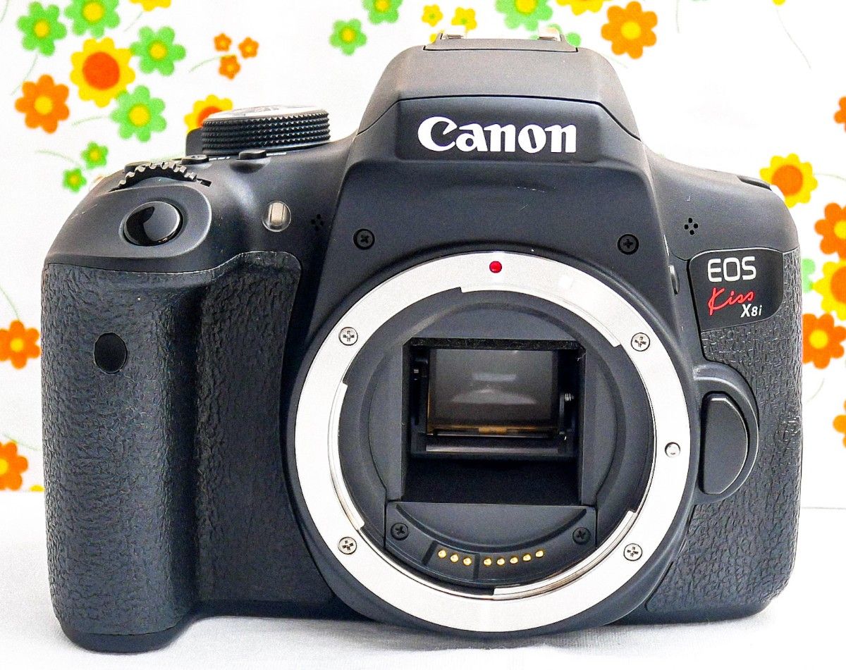 美品⭐︎Wi-Fi機能搭載☆キヤノン Canon EOS KISS X9i-