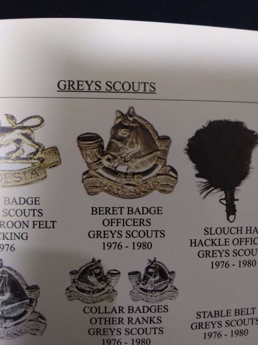ローデシア軍　制服用エリ章 Greys Scouts。1976～1980 実物ビンテージ品　オフィサー用カラーバッジ　騎馬戦闘隊_画像4