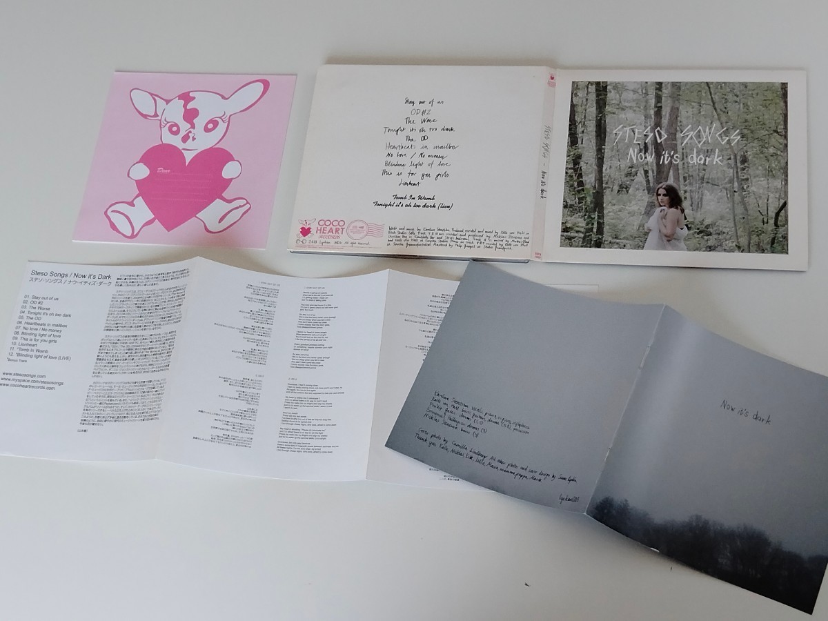 ステソ・ソングス Steso Songs / Now It's Dark デジパック日本盤CD COCOHEART RECORDS XQFN1059 2010年1st,北欧の森ガール,ポストカード付_画像3