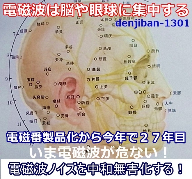 5Ｇ電磁波無害化グッズ 過敏不眠対策 おすすめ 有害電磁波ノイズ防御「電磁番AZ 」2点セット 送料無料 _画像1