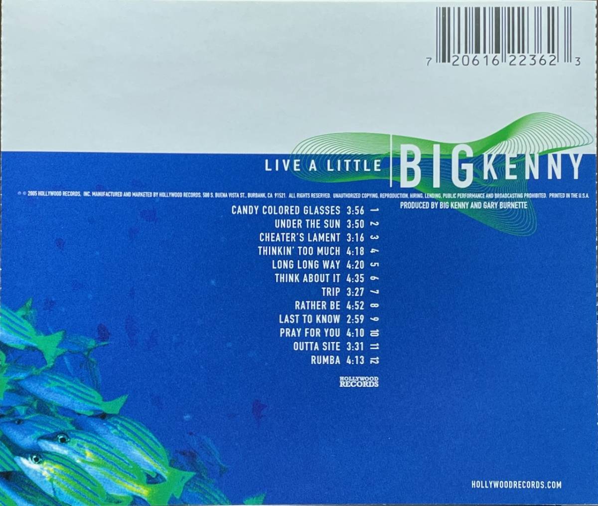 (C29H)☆美品/ビッグ・ケニー/Big Kenny/Live A Little/Big & Rich☆_画像2