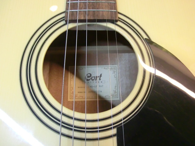 Cort　アコースティックギター　極美品_画像6