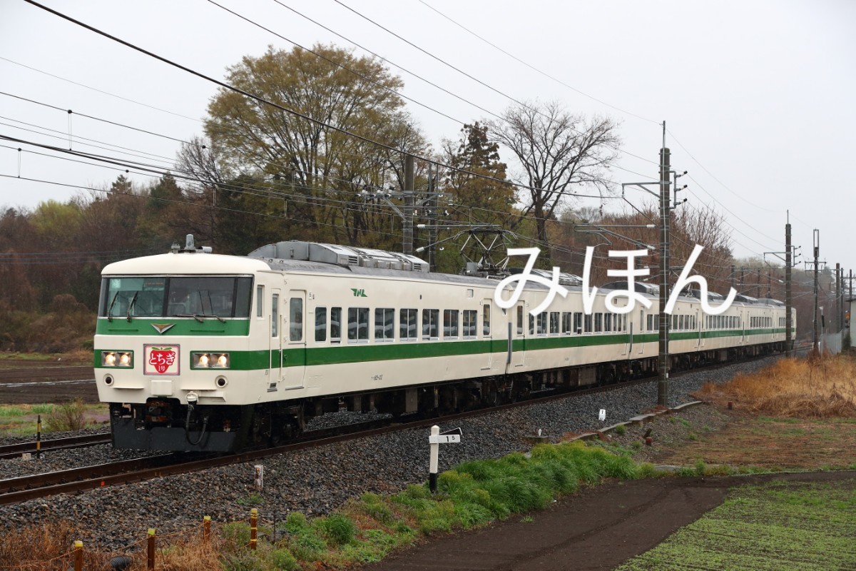 JR東日本　185系C1編成　リレー号塗装　特急とちぎ1号_画像1