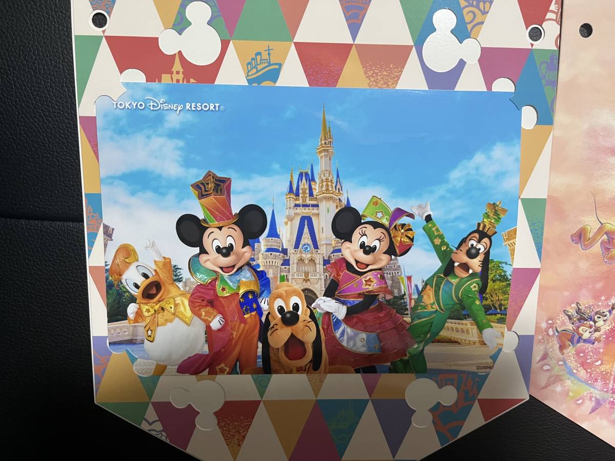 ディズニー シー ダッフィー 実写 ぬいぐるみ ランド TDS TDL ミッキー ミニー 2023 ４０周年 スペシャルフォトファン　バケパ　ハロウィン_画像2