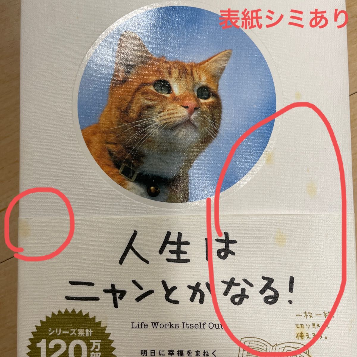 人生はもっとニャンとかなる! 明日にもっと幸福をまねく68の方法