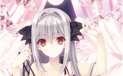 月に寄りそう乙女の作法 10th GAME COMPLETE BOX ソフマップ特典 ルナ