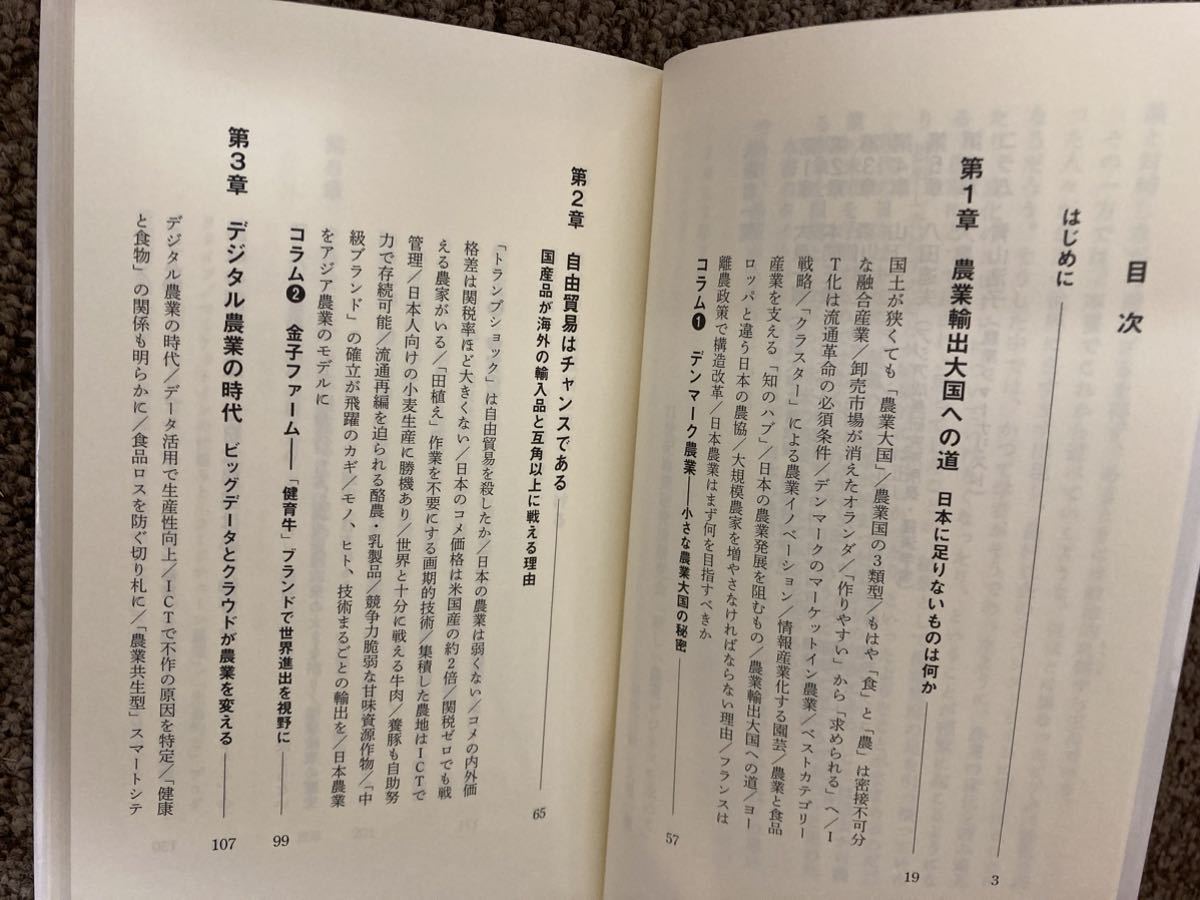 【 2025年 日本の農業ビジネス 】21世紀政策研究所 / 講談社 現代新書_画像6