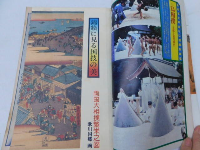 大1697 相撲 昭和57年 1982年 14冊 ベースボールマガジン社 大日本相撲