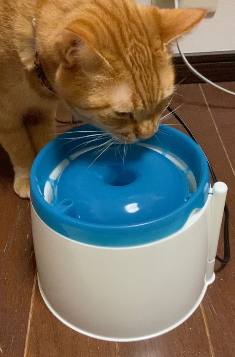 自動ペットフードサーバー&循環式水飲み器