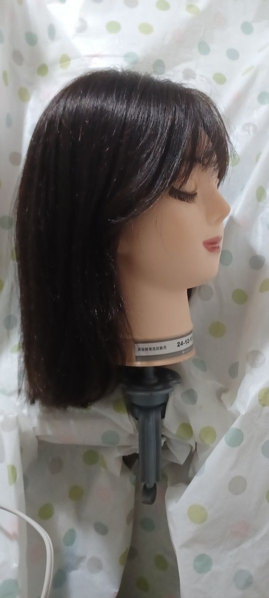 レミー 人毛100% フルウイッグ S | noonanwaste.com