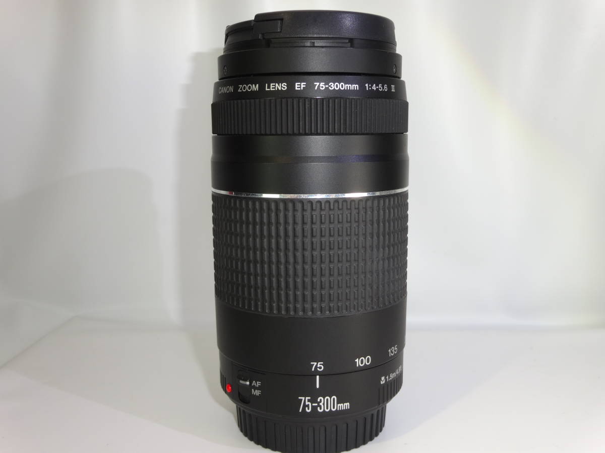 ☆ キヤノン EOS REBEL T7 + ズームレンズ EF 75-300mm 1:4-5.6 社外バッテリー 中古 ☆_＊ホコリ、汚れ、スレが有ります。