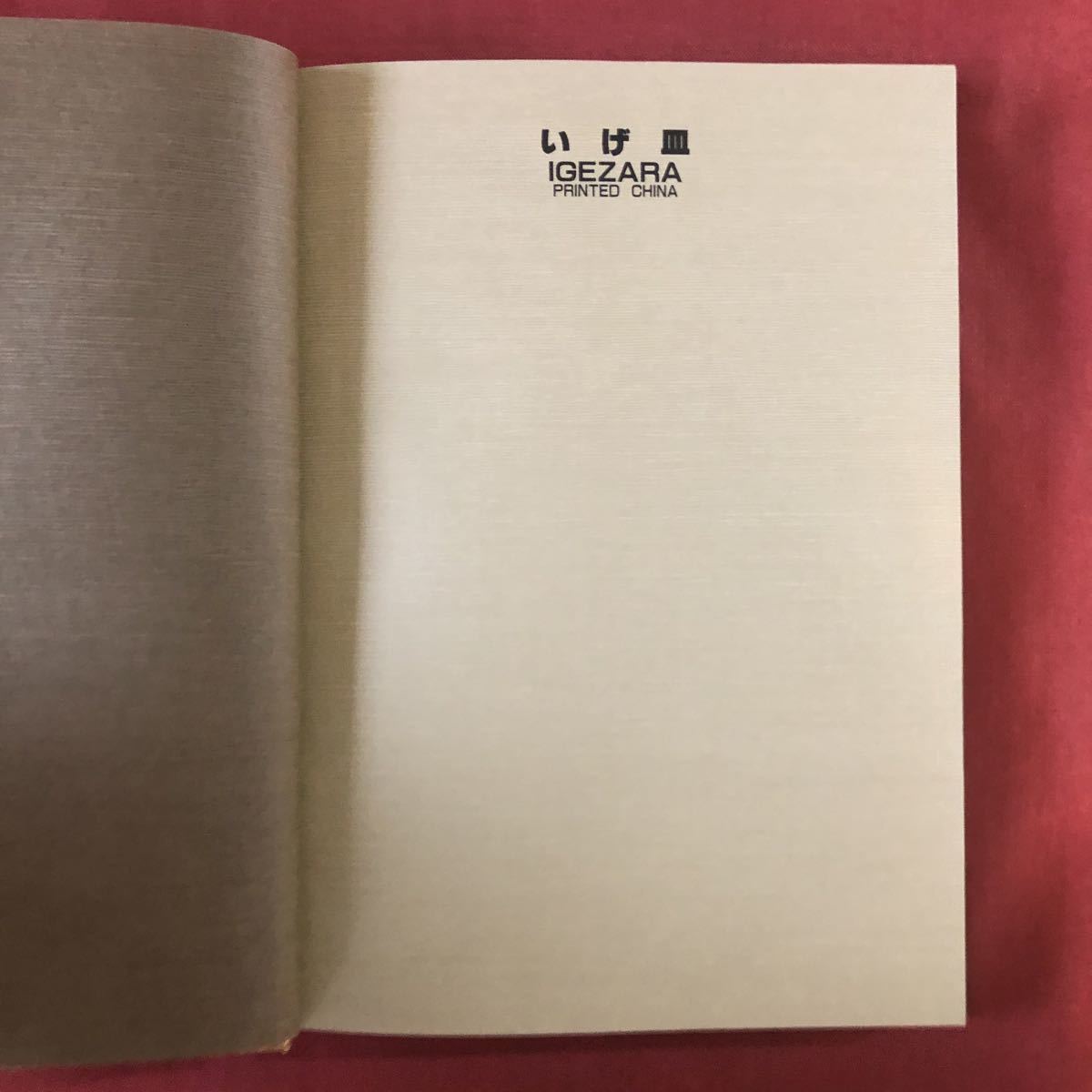 ◆ 1993年 いげ皿 アリステア・シートン 著 竹口桃子 訳 IGEZARA printed in china ◆ 初版第一刷_画像3