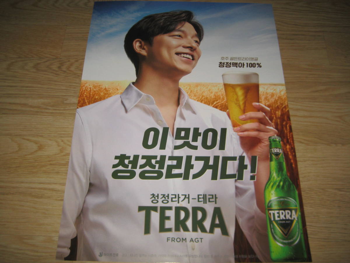 韓国 コンユ コン・ユ 「TERRA」 ポスター (I)_画像1