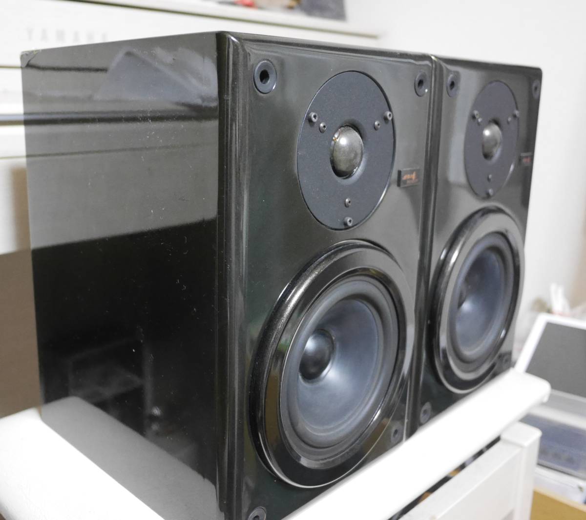 Pastral Symphony Micropure APM-1 スピーカー Pastral Symphony Micropure APM-1 スピーカー