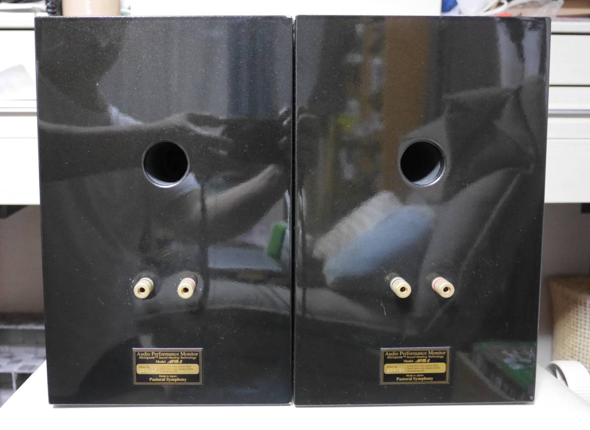 Pastral Symphony Micropure APM-1 スピーカー Pastral Symphony Micropure APM-1 スピーカー