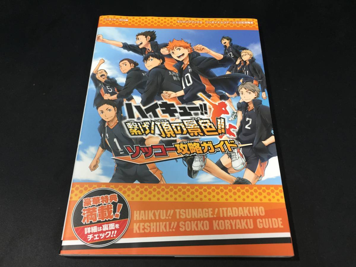 攻略本/3DSハイキュウ!!繋げ頂の景色ハイキュー!!つなげ頂きの景色ハイキュ～繋げ頂きの景色N3DS任天堂ハイチュウはいきゅー●即決攻略本★_攻略本