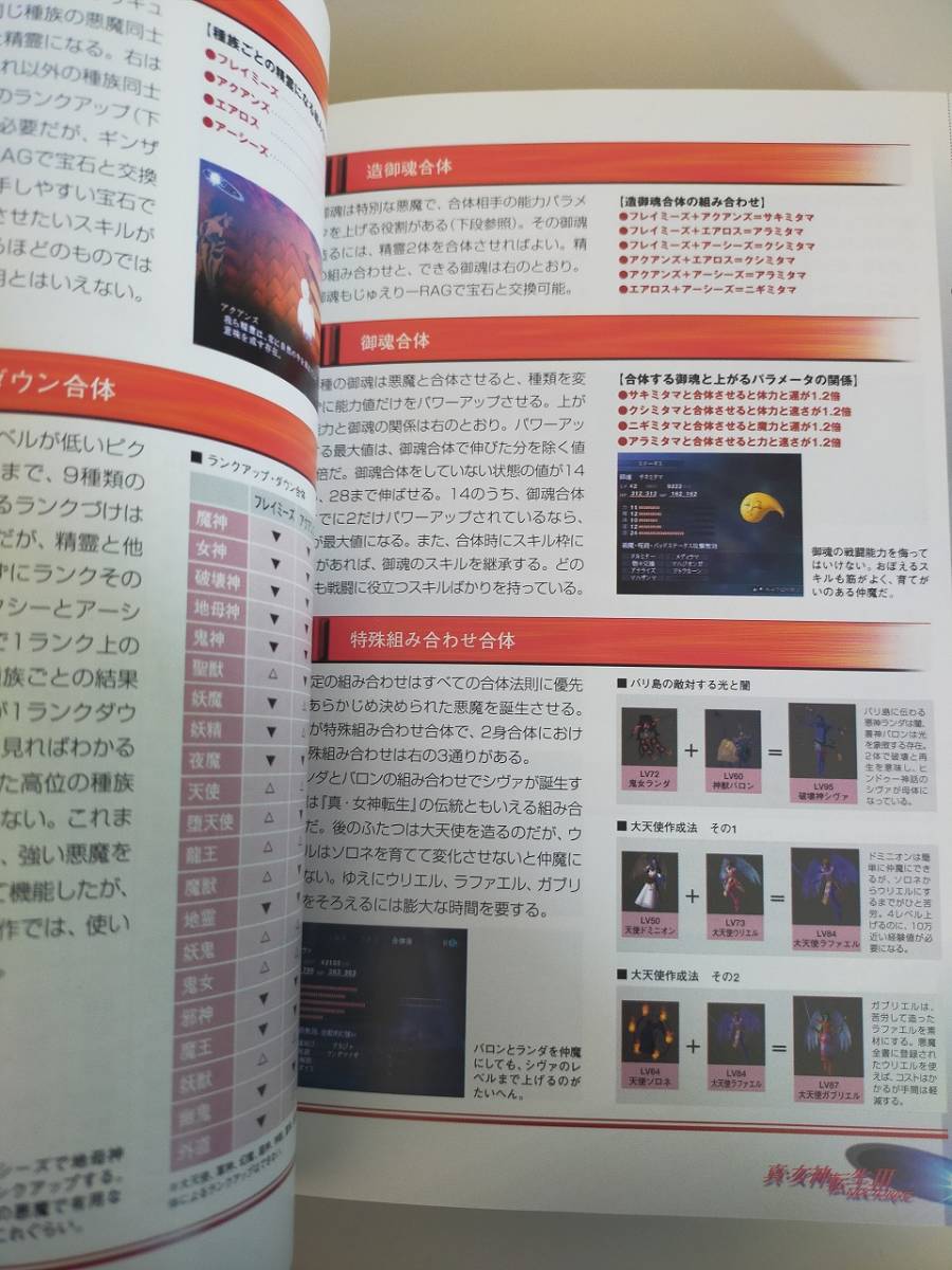 真・女神転生III NOCTURNE 公式ガイドブック 　PS2 プレイステーション 攻略本　【即決】_画像2