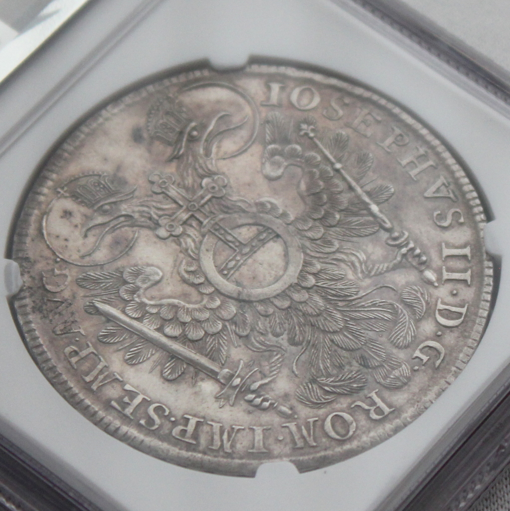 1768年 ドイツ ニュルンベルク 都市景観 ターラー 銀貨 NGC MS60_画像9