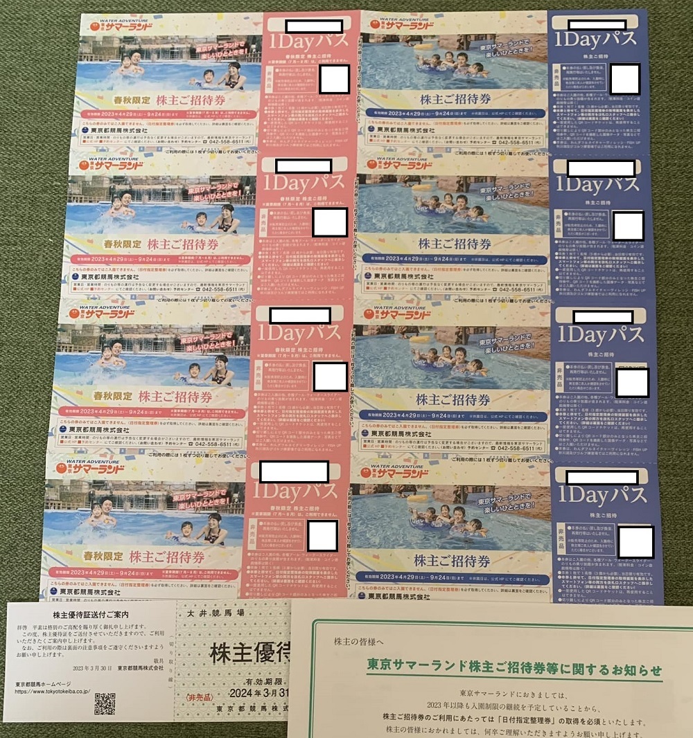最大85%オフ! 東京都競馬 株主優待 東京サマーランド春秋限定1Dayパス×4枚 東京サマーランド1Dayパス×4枚 cpiqa.iqa.org.br