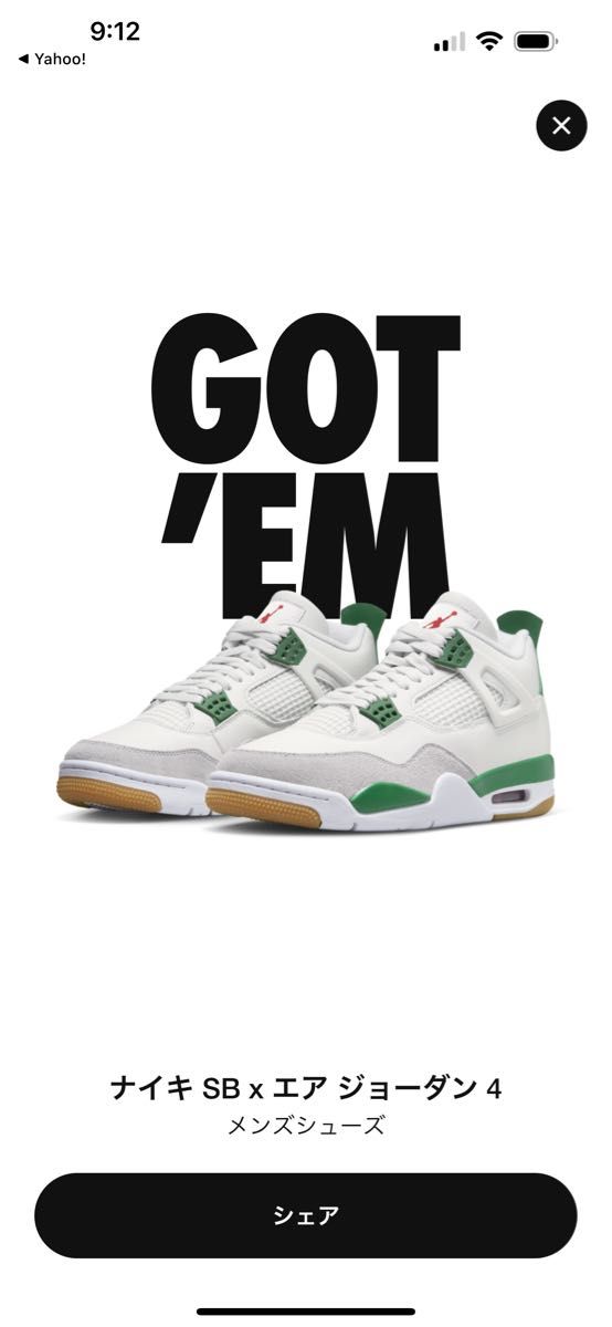 Nike SB × Air Jordan 4 Pine Green 29cm