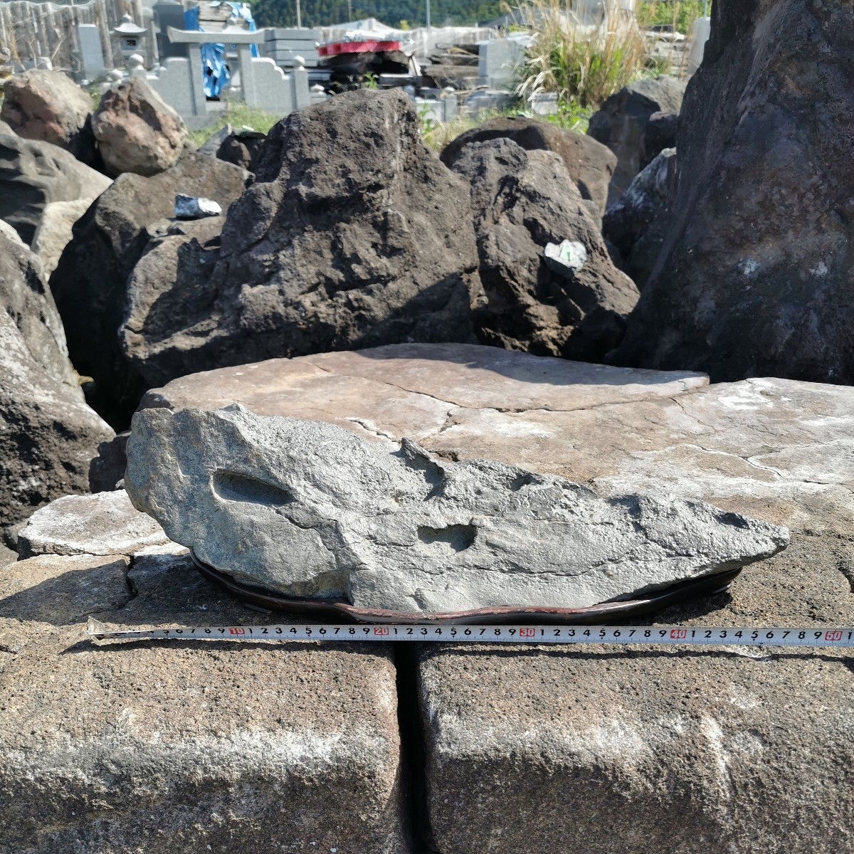佐治石9.9キロ 佐治川石庭石鑑賞石石盆石水石灯籠庭坪庭盆栽