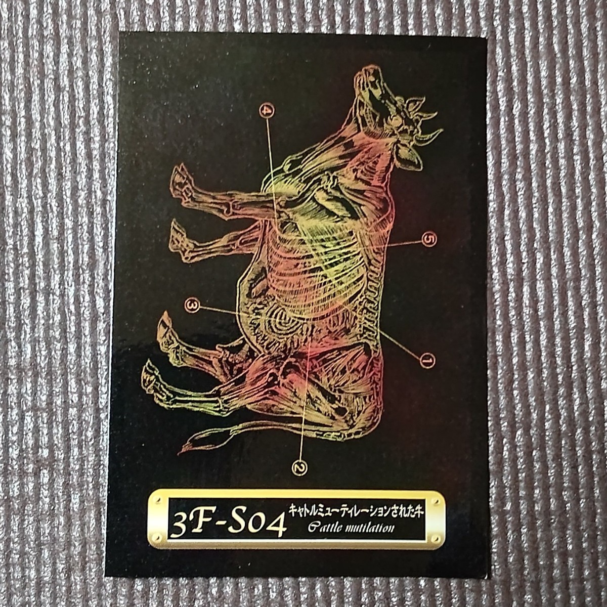 item_image_5