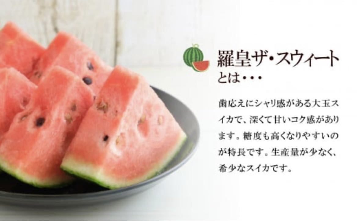 直送商品糖度14度以上保証!大玉スイカの最高傑作5L(10〜11kg)y 果物