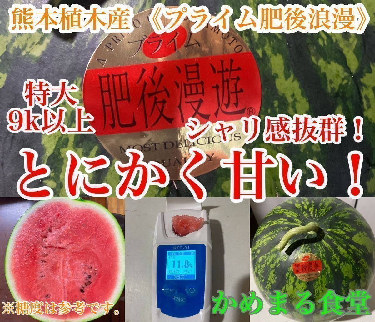 2021A/W新作☆送料無料】 糖度14度以上保証 大玉スイカの最高傑作7L