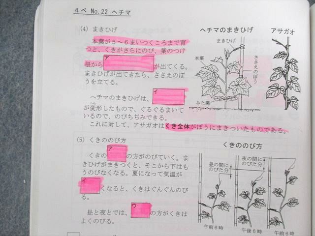 UE02-019 希学園 小4 ベーシック理科 問題編/解答編 第1～3分冊 問題/解答付計6冊 40M2D_画像3